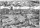 Frankfurt an der Oder 1548